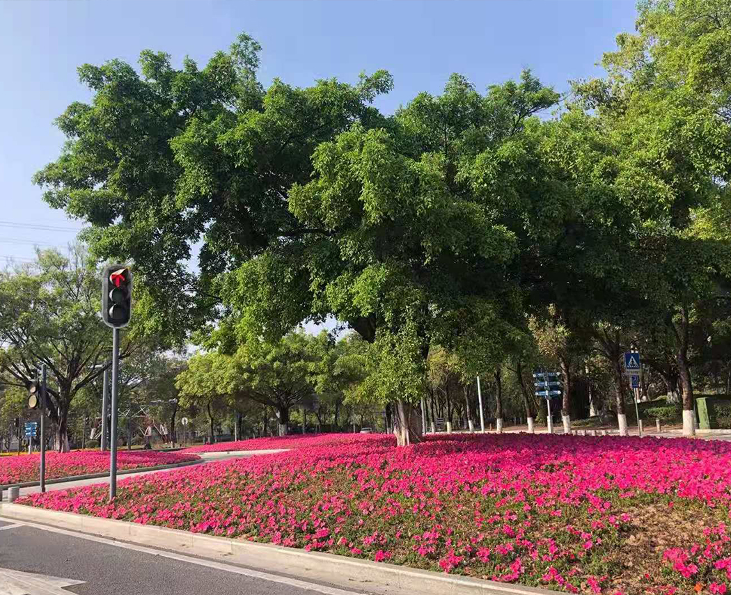 熱之源科技2021年開工啦?。?！